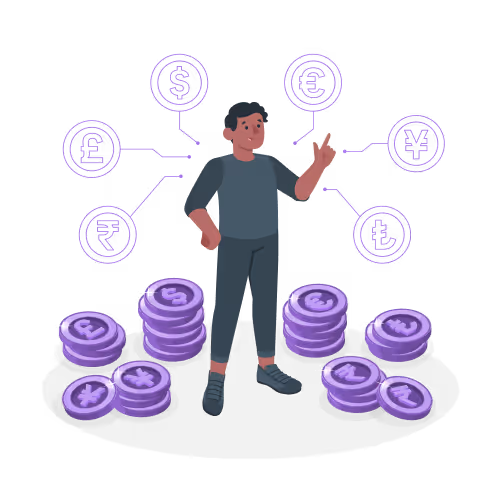 689d82246d69ca5c6af8c52a_66d840ed3843edd67a74bb78_Currency-amico 1 (1) (1)